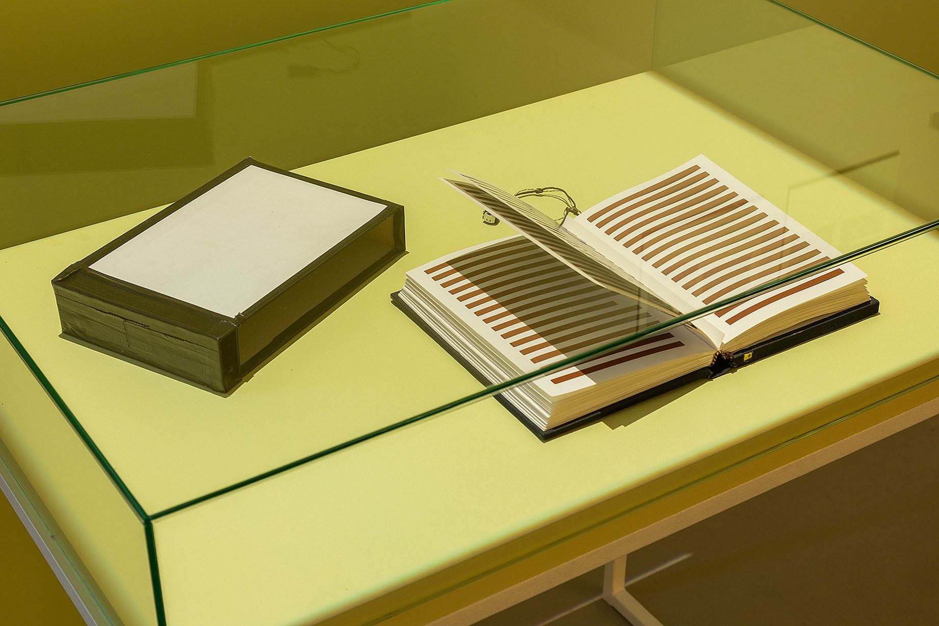 Książka i pudełko w gablocie na wystawie 