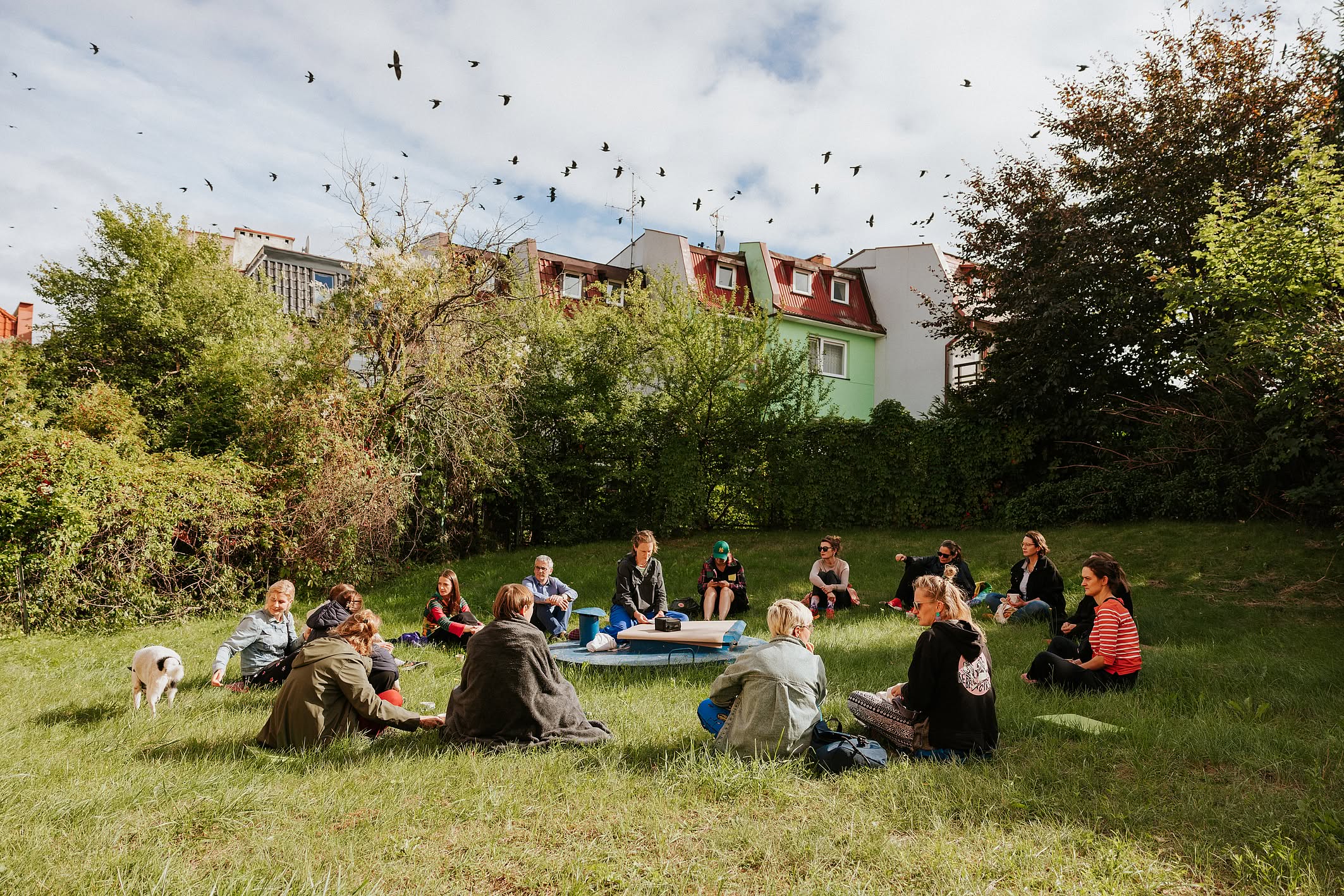 kilkanaście osób siedzi w kręgu na trawie, obok jest pies, w tle domy jendnorodzinne, na niebie ptaki