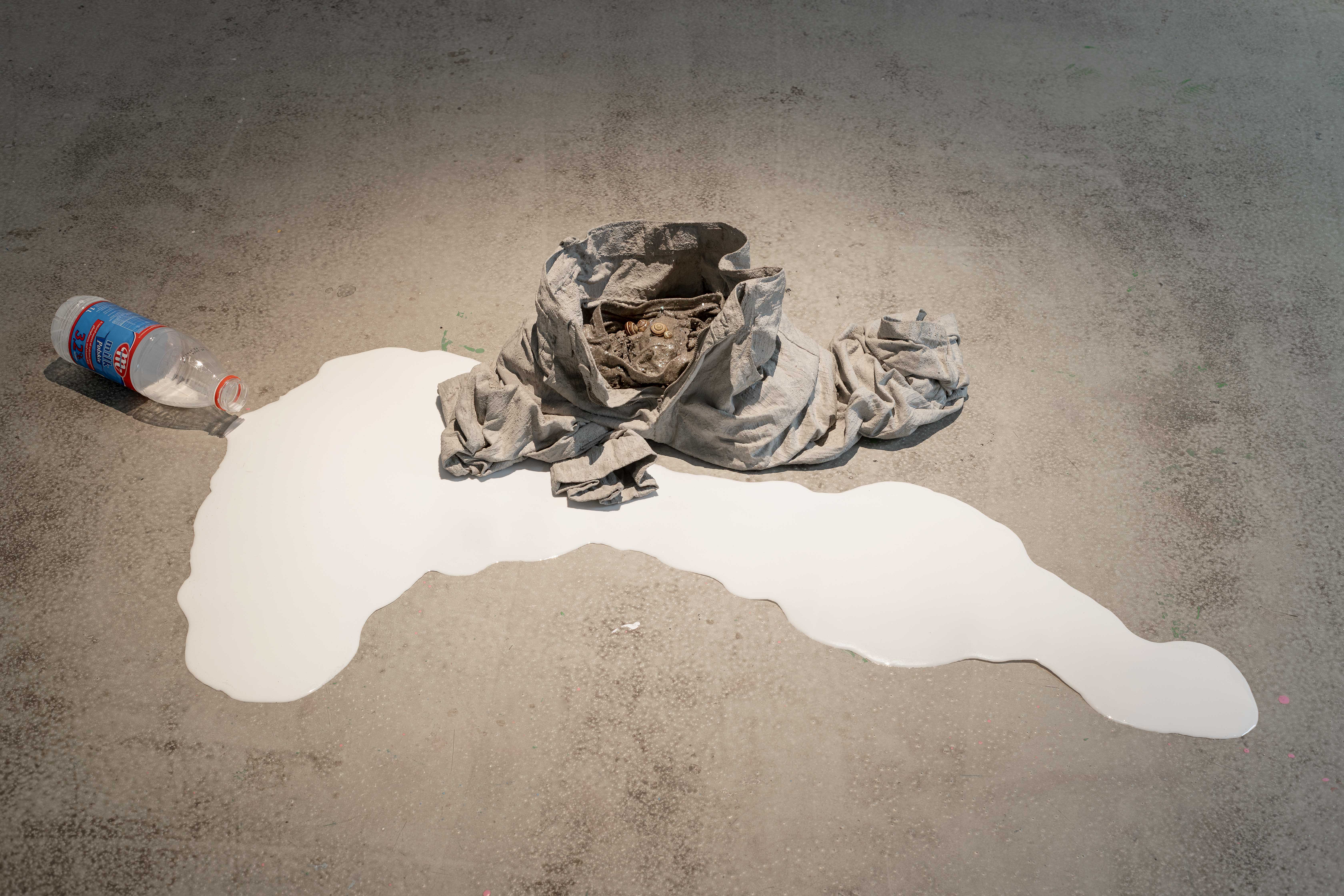 65 spadek fot alicjakielan