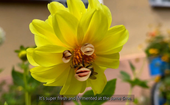 Dominika Łabądź Czego nie możemy pomyśleć , 2026, kadr filmu017