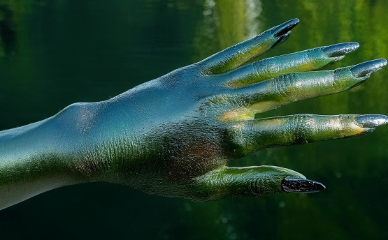 Kinga Kiełczyńska, Polarpunk, 2025