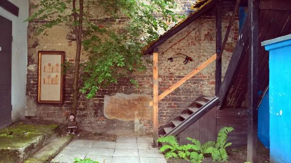 13466166 639888772831845 6223036582539579780 n