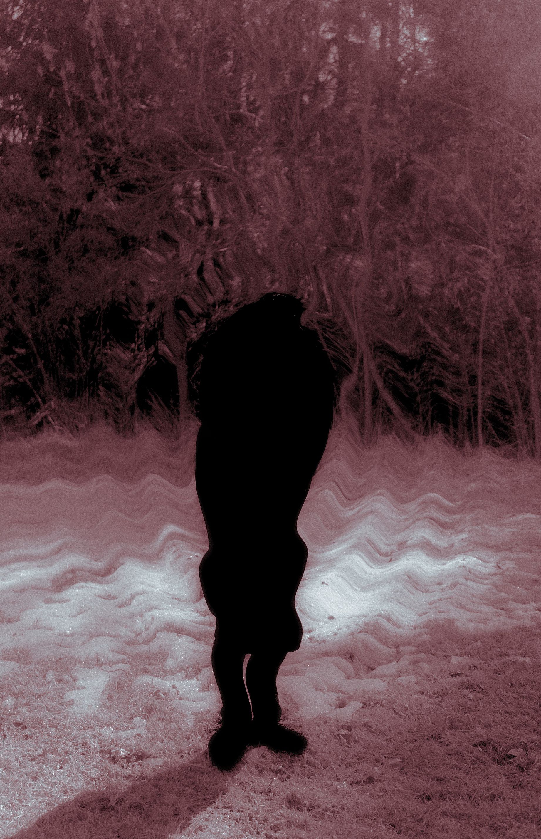 Obraz przedstawia sylwetkę osoby w lesie lub na otwartej przestrzeni, zniekształconą i w podczerwieni.