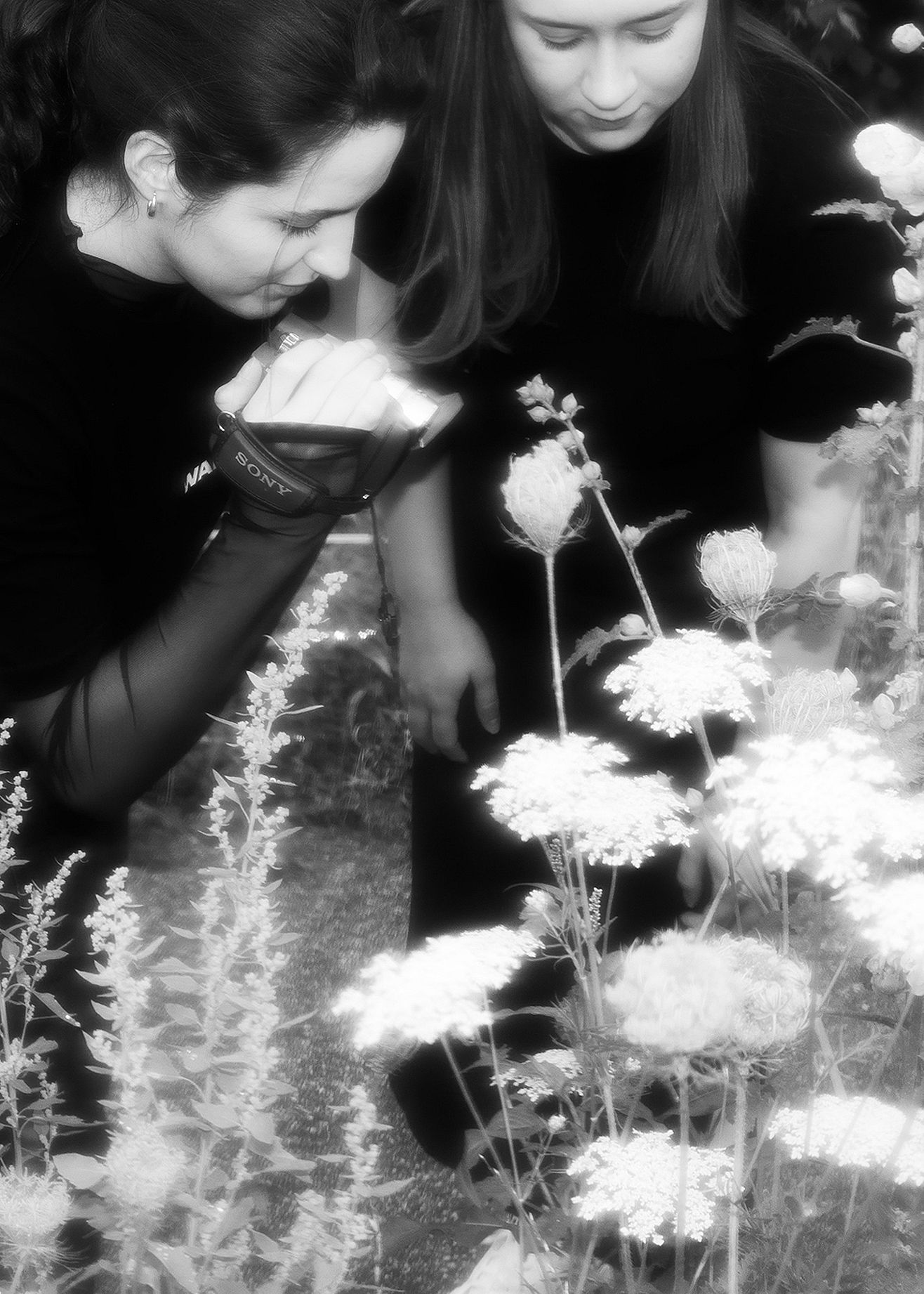 czarno-białe zdjęcie przedstawiające dwie dziewczyny, jedna filmuje kwiat
